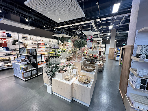 Feringa Center - Visual