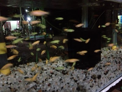 Photos of Isuru Aquarium