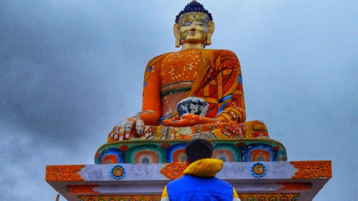 Af1qippg86alygsfairfbvchoselk 2t  0dyeqwj0he=s517 K No