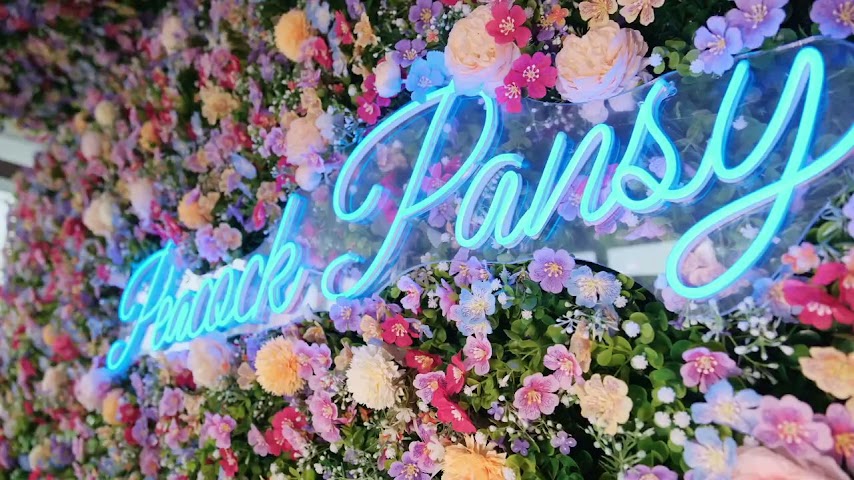 Peacock Pansy by null