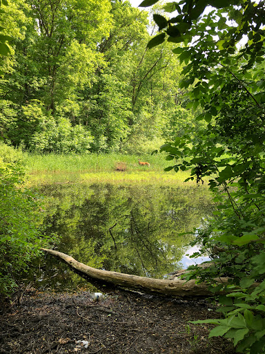 Franklin Grobb Memorial Pond - Thumbnail