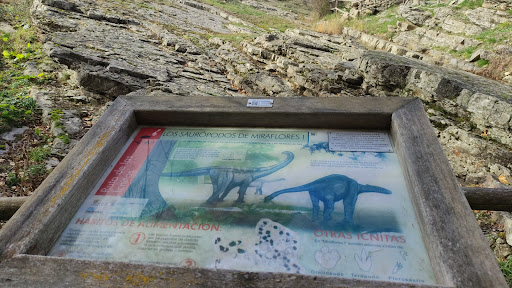 Huellas Dinosaurios - Thumbnail