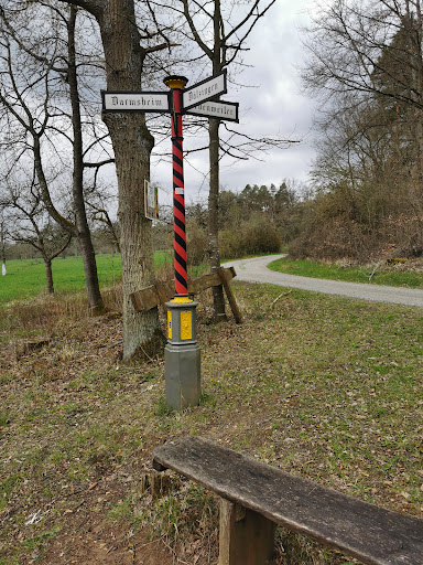 Baumbergwiese Gallery - Germany