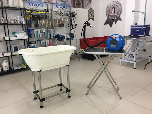 Italsystem sas di Bianchi Alberto e C. Gallery - Italy