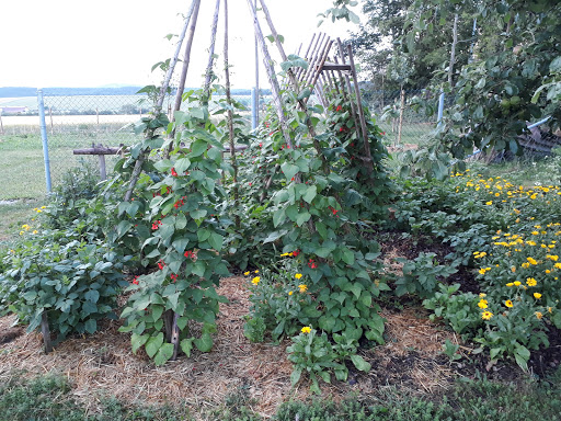 CCOG - Feldhaus Alpenblick, Obst- und Gartenbauverein Neuhausen ob Eck - Thumbnail