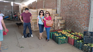 Mangos chulucanas 0