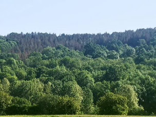 Photo n°7 de Chambre d'hôtes 