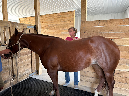 Hypoint Veterinary Health, L.L.C.