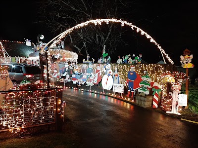 Winter Lights Show