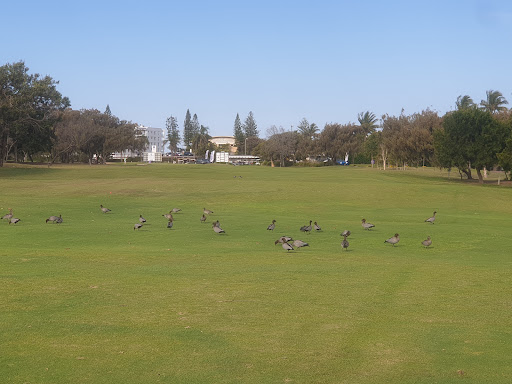 Bargara Golf Club - Thumbnail