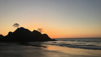 Photos of Osa Peninsula