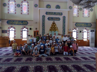 Photos of G&ouml;&ccedil;men Cami