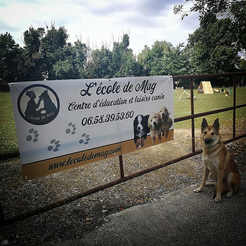 Avis sur L'école de mag à La Rochelle - Dresseur pour chiens