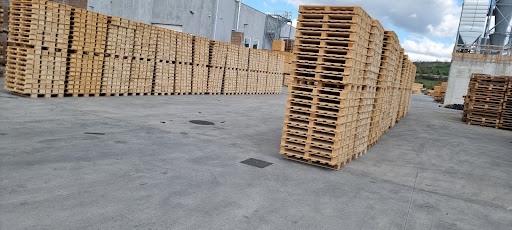 B. Group SRL - Visual