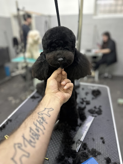 Fabio D'amato GROOMING CENTER