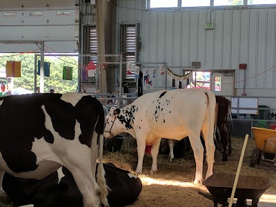 Carroll County 4-H & FFA Fair