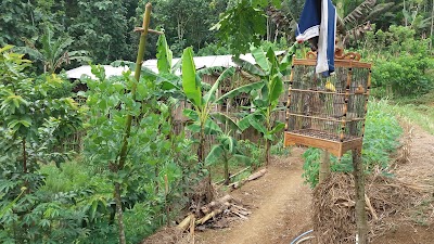 Photos of Mustika Egg Farm