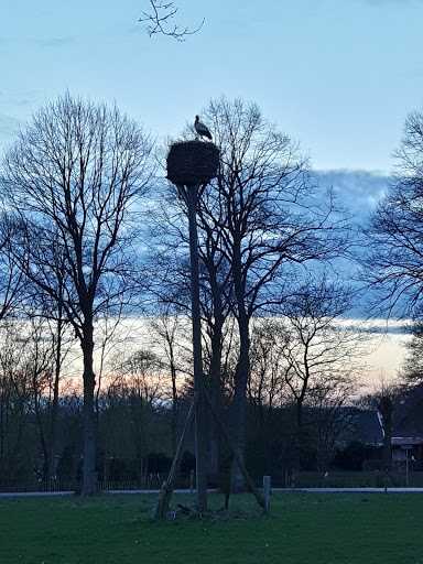 De Paardeblom - Thumbnail