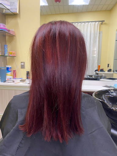 Buzzy Salon - Visual