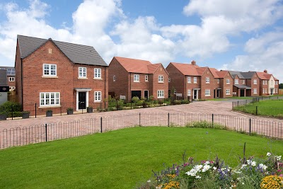 Tilia Homes - Northern