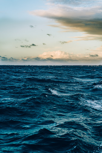 Ocean Precious: Stop Ocean Pollution