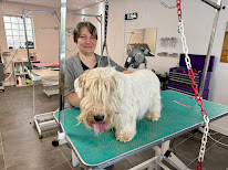 Lovely Dog à La Roche-sur-Foron