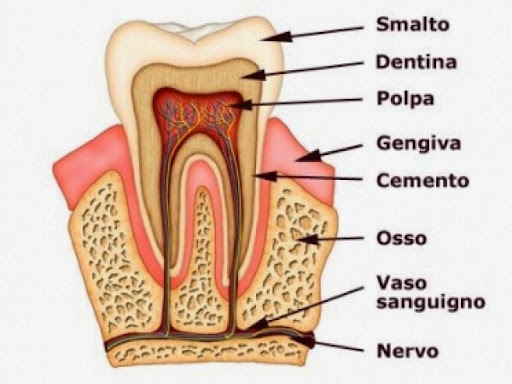 Studio Dentistico Dr. Nargiso Guglielmo - Thumbnail