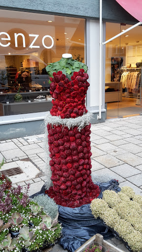 Blumen Lessle - Visual