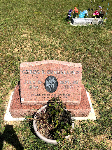 Solon Township Cemetery - Thumbnail