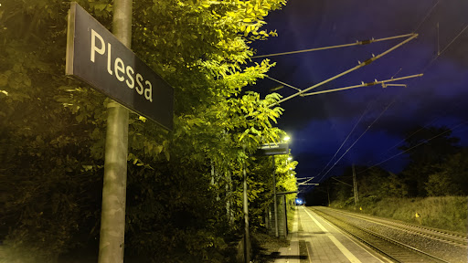 Plessa - Visual