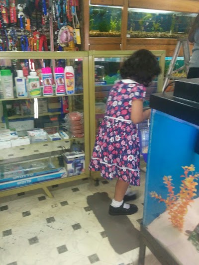 pet-store