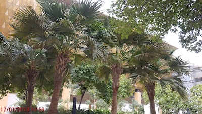 Photos of Masdar Institute Parking