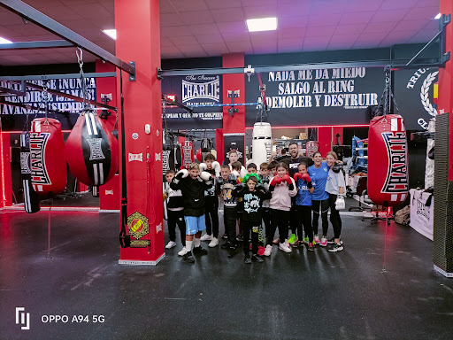 Elite Fit Boxing Club Logo