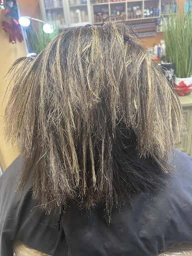 ALTERS HAIR SALON Gallery - United States