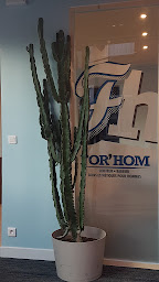 Photo n°3 de For'Hom Coiffeurs Barbiers à Orléans (Institut de beauté)