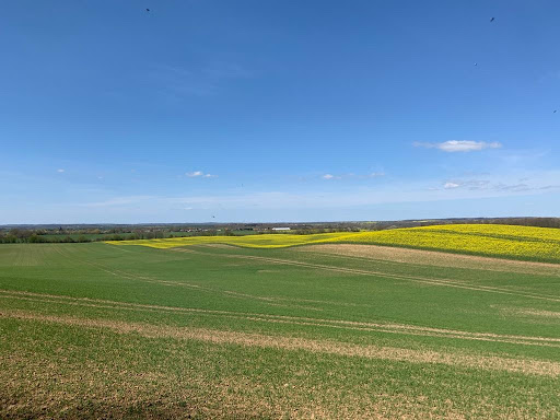 Waldlehrpfad Neuendorfer Waldpfad - Thumbnail