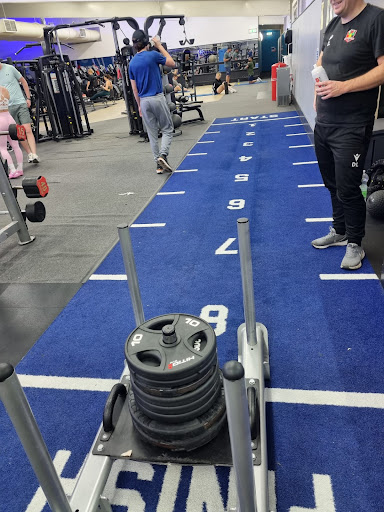 Fitness Basics Gallery - United Kingdom