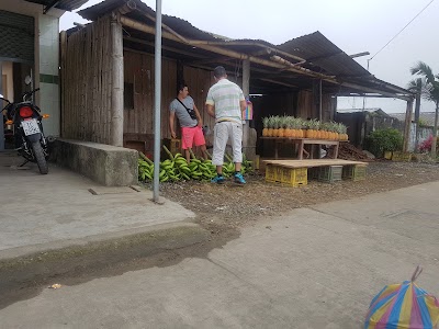 Photos of Bertha Bar