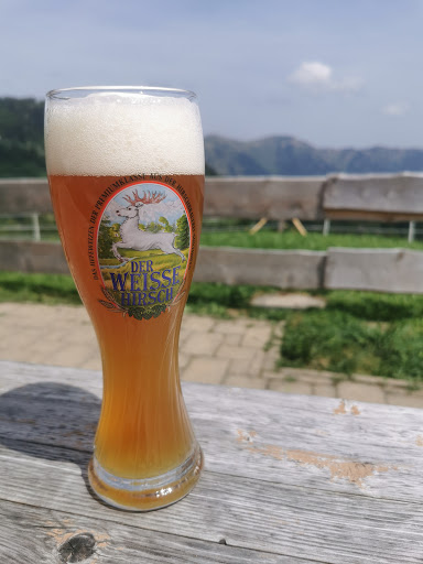 Höllritzer Alpe