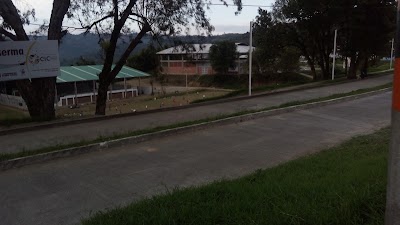 stadium