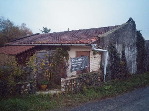 Sacereau Pascal - Visual