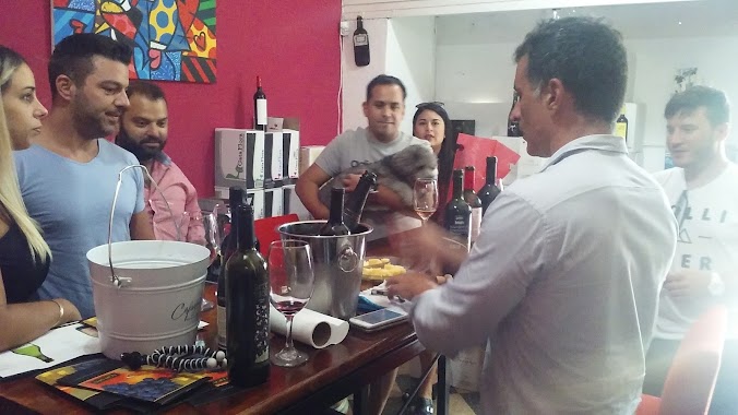 La posta del buen vino, Author: Alejandro Grandel 80