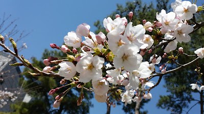 Photos of 시카미술관