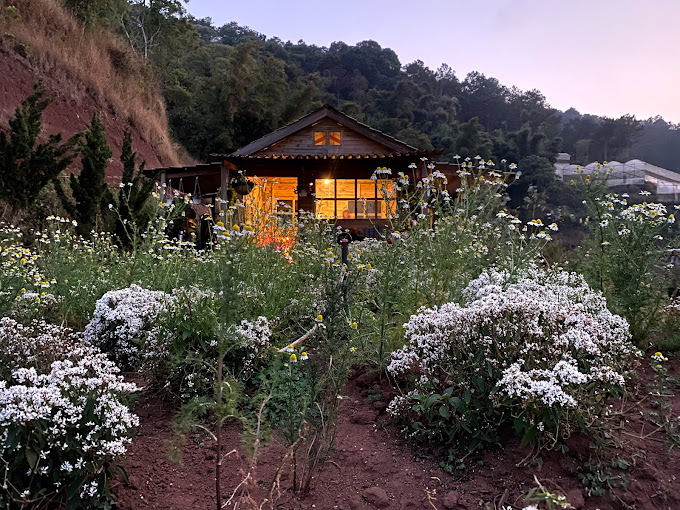 Lavender Túi Thương Nhớ Đà Lạt, Phường 5, Đà Lạt, Lâm Đồng