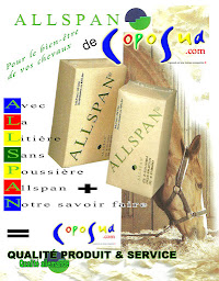 Photo n°16 de Coposud à Lédenon (Magasin de bois de chauffage)