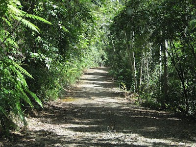 photo of Tablelands.com & Malanda Real Estate