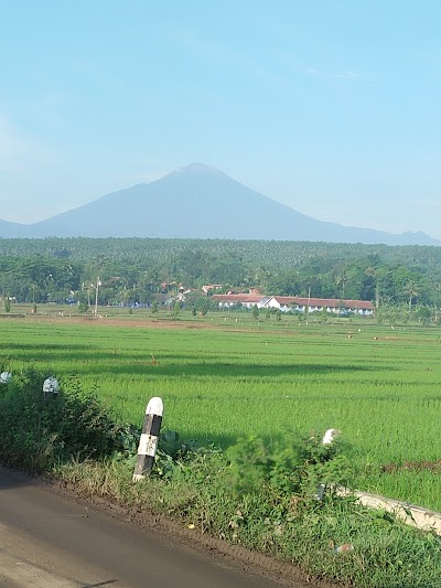 photo of Rice Mille Nini Pon Kaki Amat