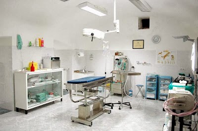 Photos of Ambulatorio Veterinario Sant'Anna dei Lombardi