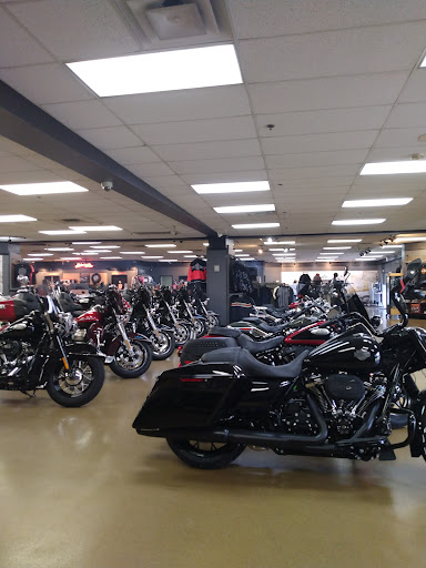 Hellbender Harley-Davidson - Visual