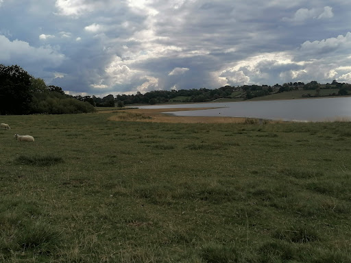 Barnsdale Wood Rutland Water - Thumbnail